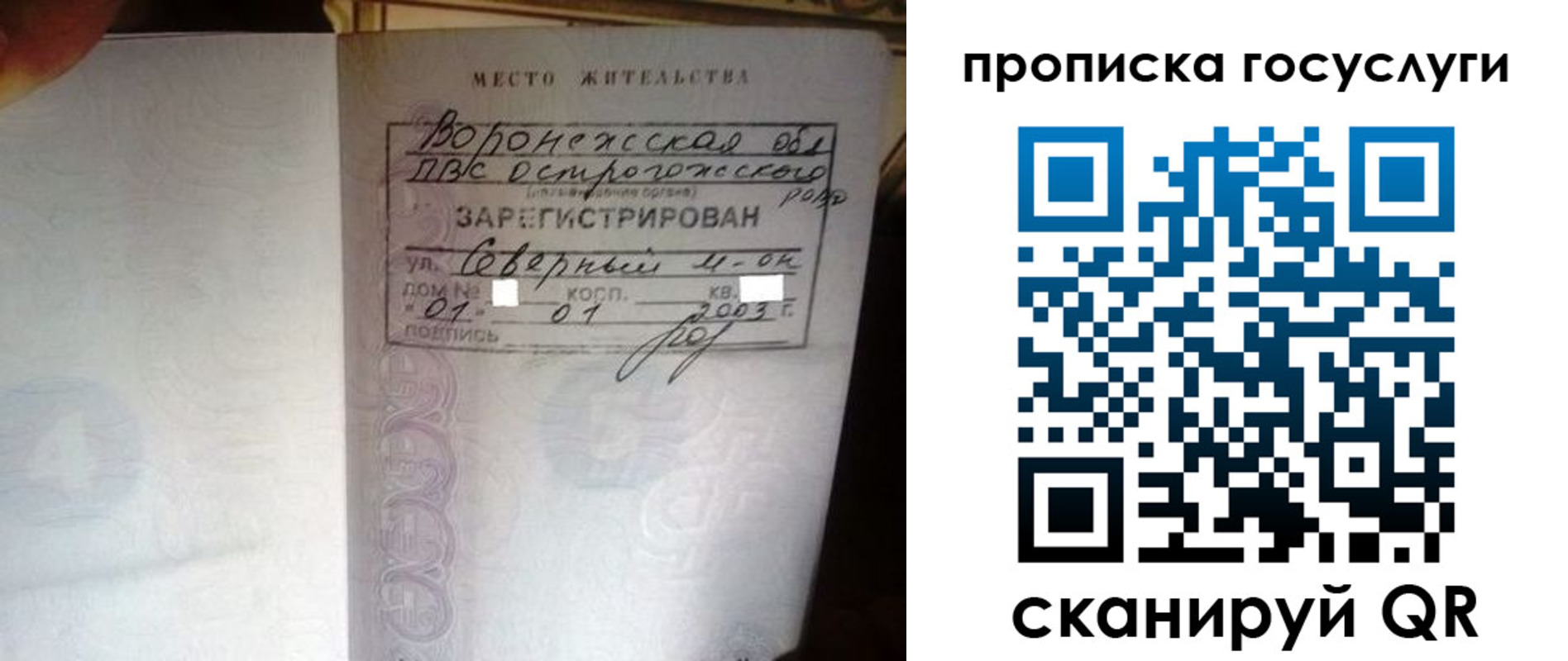 прописка законно в Сольцах